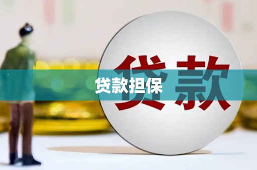 涵江贷款担保
