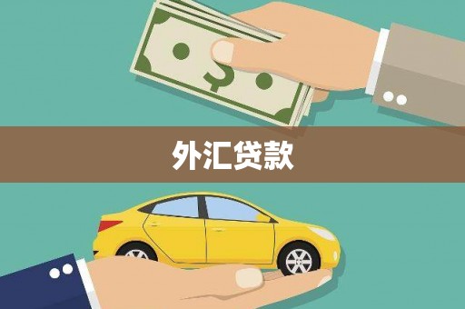 涵江外汇贷款
