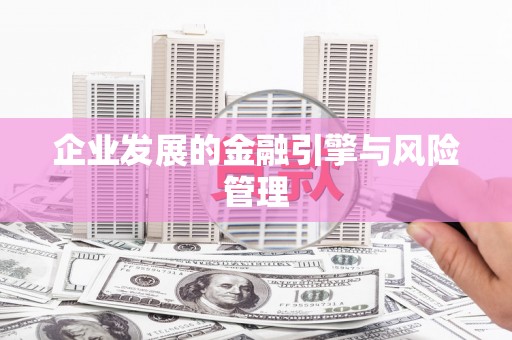 涵江企业发展的金融引擎与风险管理