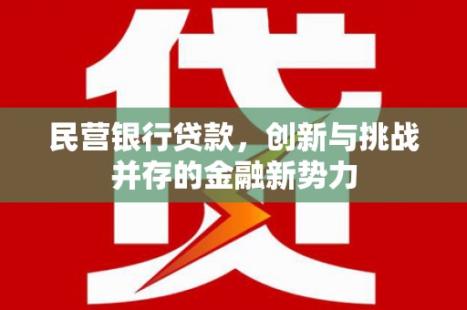 涵江民营银行贷款，创新与挑战并存的金融新势力