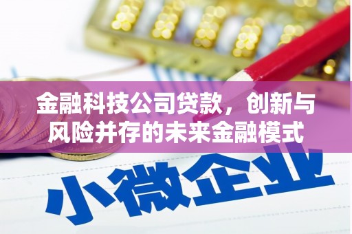 涵江金融科技公司贷款，创新与风险并存的未来金融模式