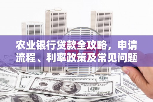 涵江农业银行贷款全攻略，申请流程、利率政策及常见问题解析