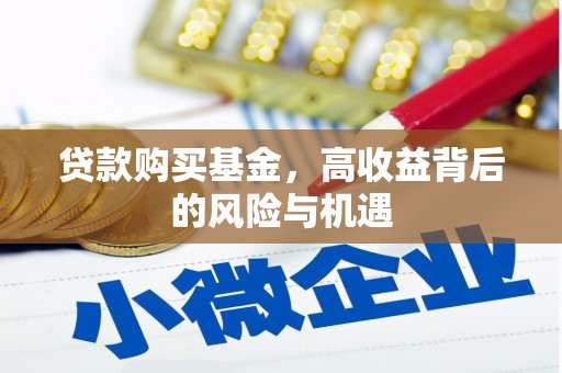 涵江贷款购买基金，高收益背后的风险与机遇