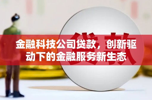 涵江金融科技公司贷款，创新驱动下的金融服务新生态