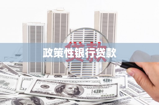 涵江政策性银行贷款