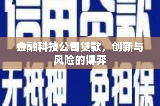 涵江金融科技公司贷款，创新与风险的博弈