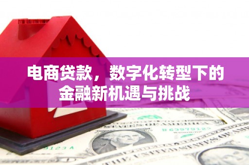 涵江电商贷款，数字化转型下的金融新机遇与挑战