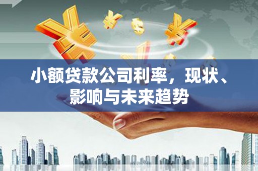 涵江小额贷款公司利率，现状、影响与未来趋势