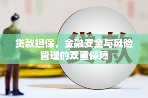 涵江贷款担保，金融安全与风险管理的双重保障