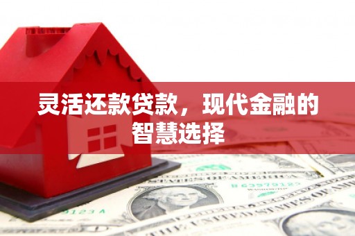涵江灵活还款贷款，现代金融的智慧选择