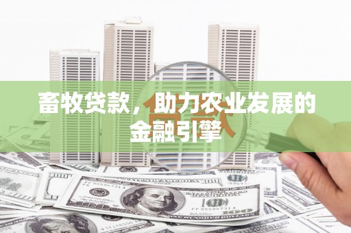 涵江畜牧贷款，助力农业发展的金融引擎