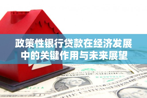 涵江政策性银行贷款在经济发展中的关键作用与未来展望