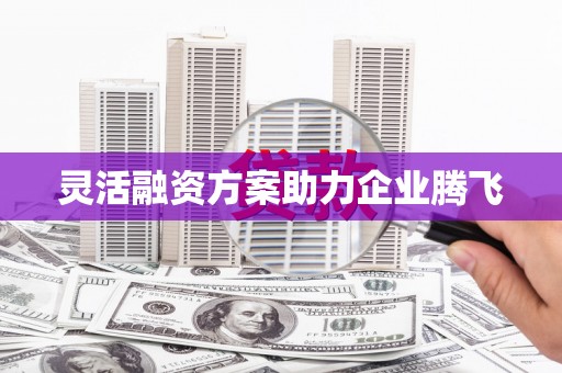涵江灵活融资方案助力企业腾飞