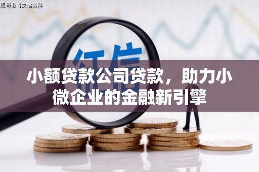 涵江小额贷款公司贷款，助力小微企业的金融新引擎