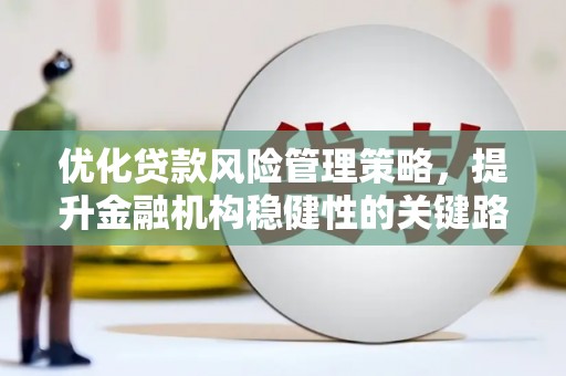 涵江优化贷款风险管理策略，提升金融机构稳健性的关键路径
