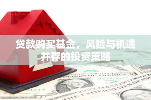 涵江贷款购买基金，风险与机遇并存的投资策略