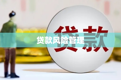 涵江贷款风险管理