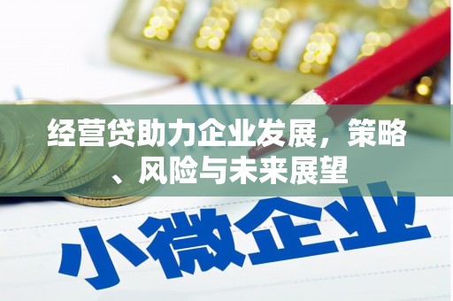 涵江经营贷助力企业发展，策略、风险与未来展望