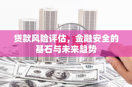 涵江贷款风险评估，金融安全的基石与未来趋势