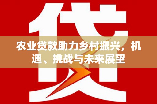 涵江农业贷款助力乡村振兴，机遇、挑战与未来展望