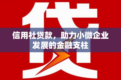涵江信用社贷款，助力小微企业发展的金融支柱