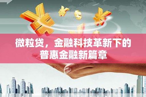 涵江微粒贷，金融科技革新下的普惠金融新篇章