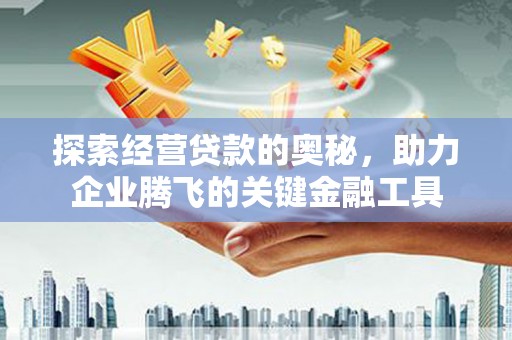 涵江探索经营贷款的奥秘，助力企业腾飞的关键金融工具