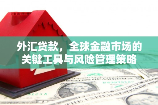 涵江外汇贷款，全球金融市场的关键工具与风险管理策略