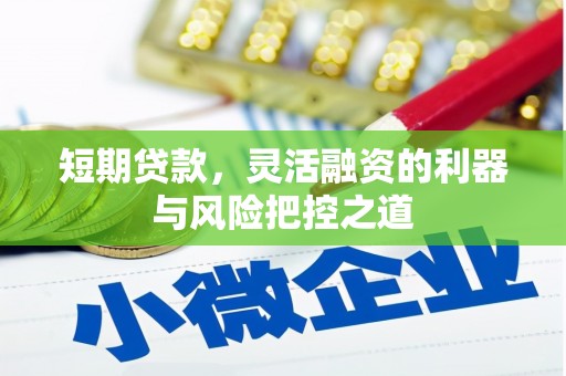 涵江短期贷款，灵活融资的利器与风险把控之道