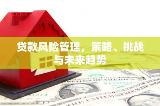 涵江贷款风险管理，策略、挑战与未来趋势
