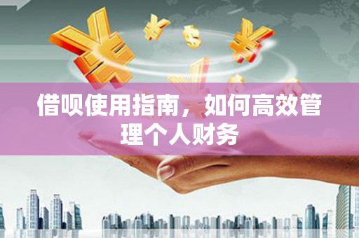 涵江借呗使用指南，如何高效管理个人财务