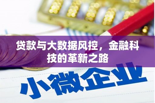 涵江贷款与大数据风控，金融科技的革新之路