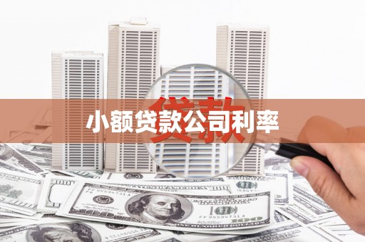 涵江小额贷款公司利率