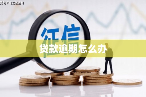 涵江贷款逾期怎么办