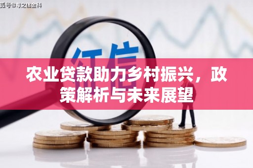 涵江农业贷款助力乡村振兴，政策解析与未来展望