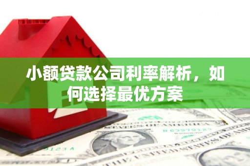 涵江小额贷款公司利率解析，如何选择最优方案