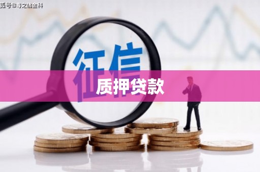 涵江质押贷款