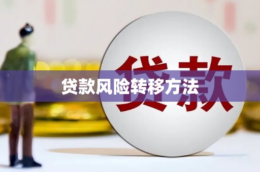 涵江贷款风险转移方法