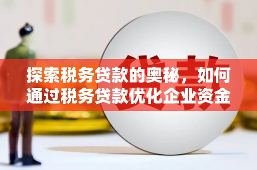 涵江探索税务贷款的奥秘，如何通过税务贷款优化企业资金流