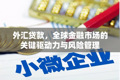 涵江外汇贷款，全球金融市场的关键驱动力与风险管理