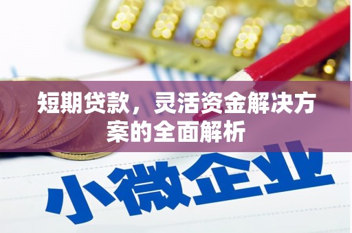 涵江短期贷款，灵活资金解决方案的全面解析