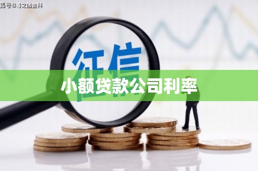 涵江小额贷款公司利率