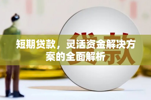 涵江短期贷款，灵活资金解决方案的全面解析
