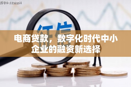涵江电商贷款，数字化时代中小企业的融资新选择