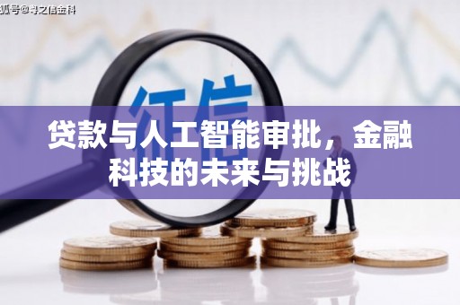 涵江贷款与人工智能审批，金融科技的未来与挑战