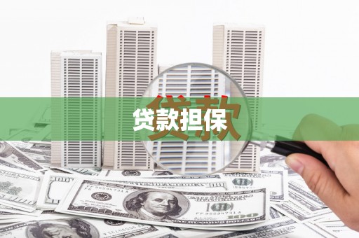 涵江贷款担保
