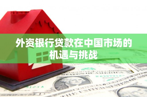 涵江外资银行贷款在中国市场的机遇与挑战