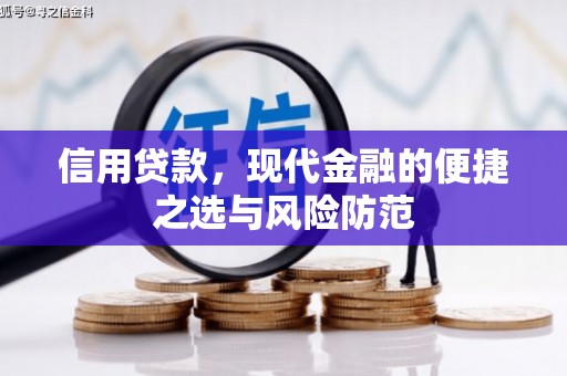 涵江信用贷款，现代金融的便捷之选与风险防范