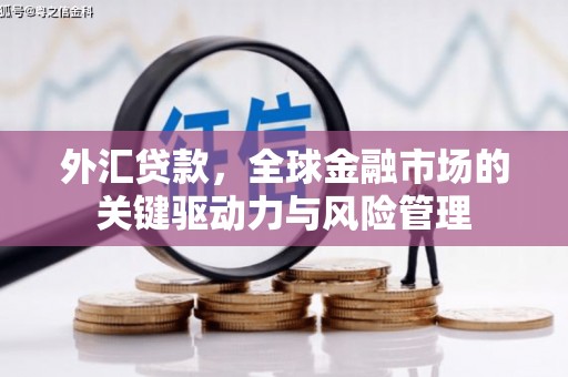 涵江外汇贷款，全球金融市场的关键驱动力与风险管理