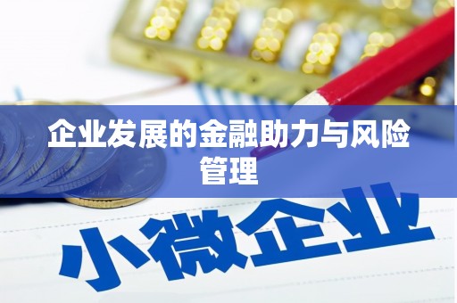涵江企业发展的金融助力与风险管理